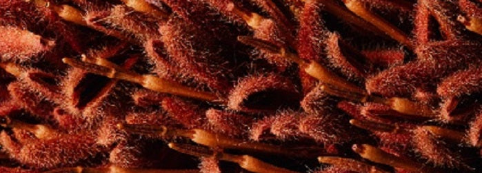 Business Essentials - Marketing