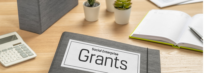 Social Enterprise Development Initiative (SEDI)