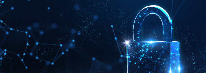 Cyber Safe Hub