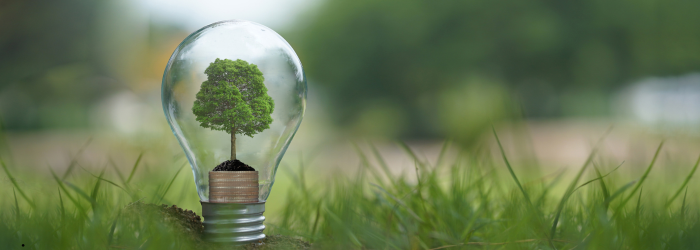 Energy Incentives and Instant Asset Write-Offs