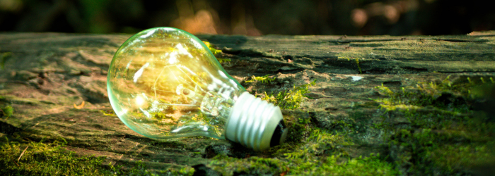 Creative Sustainability