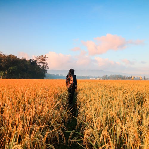 UN GCNA launches the Sustainability Reporting CoP