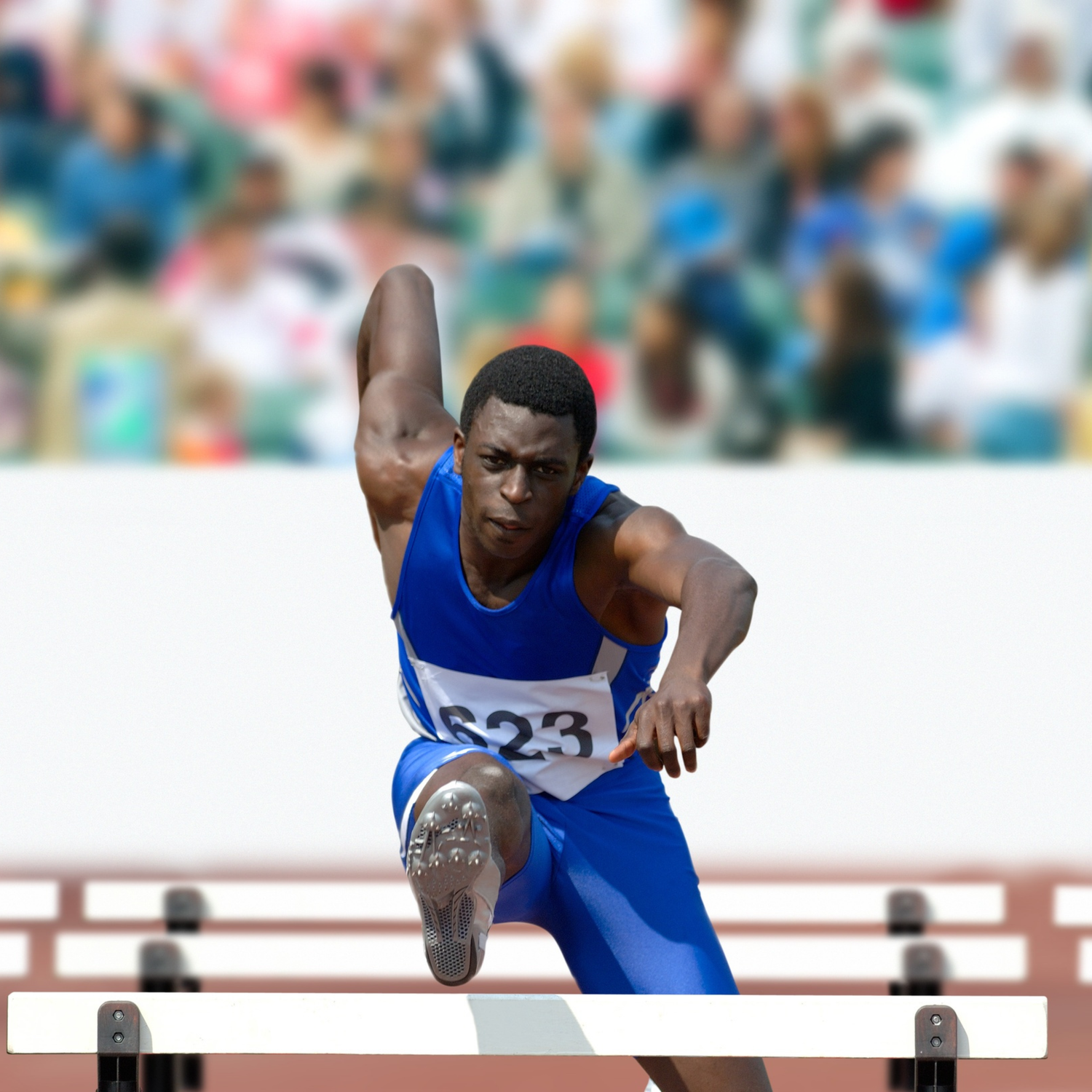 Brisbane Olympic & Paralympic Opportunities