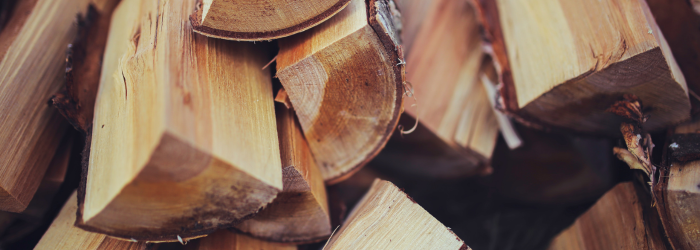 Business for Good Linkup - Among The Trees