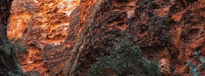 Climate Action Arts Grants Program - Ingrained Foundation