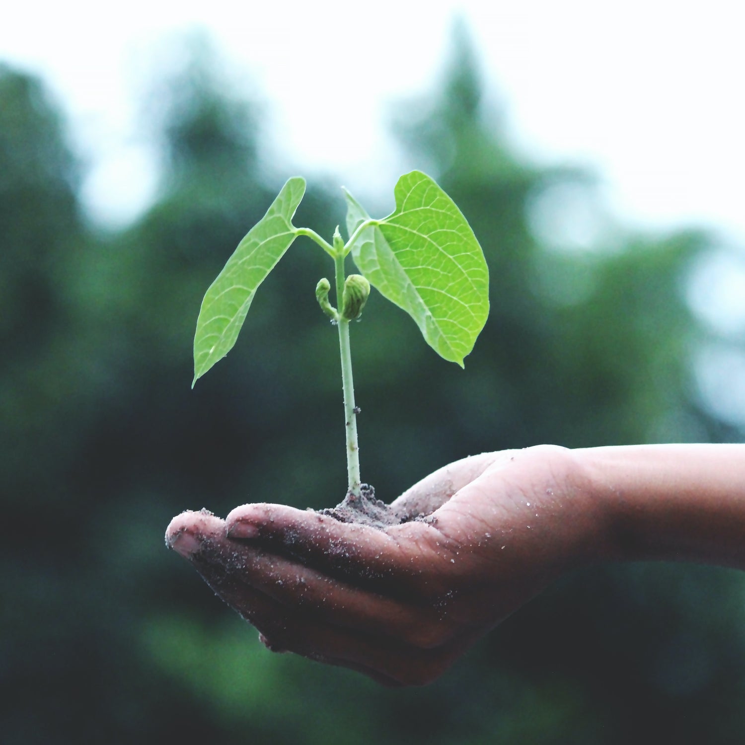 Social Enterprise Australia: Draft Strategy Released