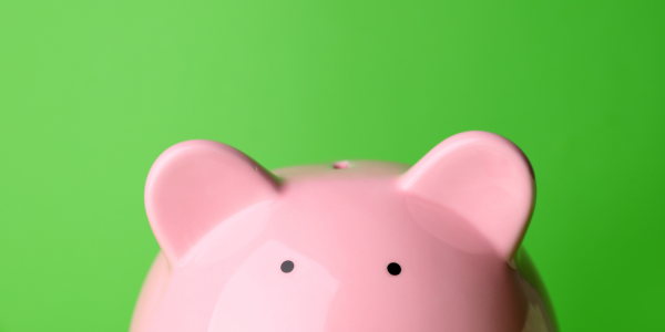 ASVB Grant Program