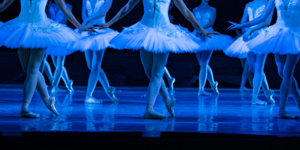 Four Year Investment for Organisations: Arts and cultural organisations