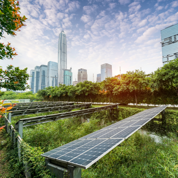 ASIC reviews sustainability reports