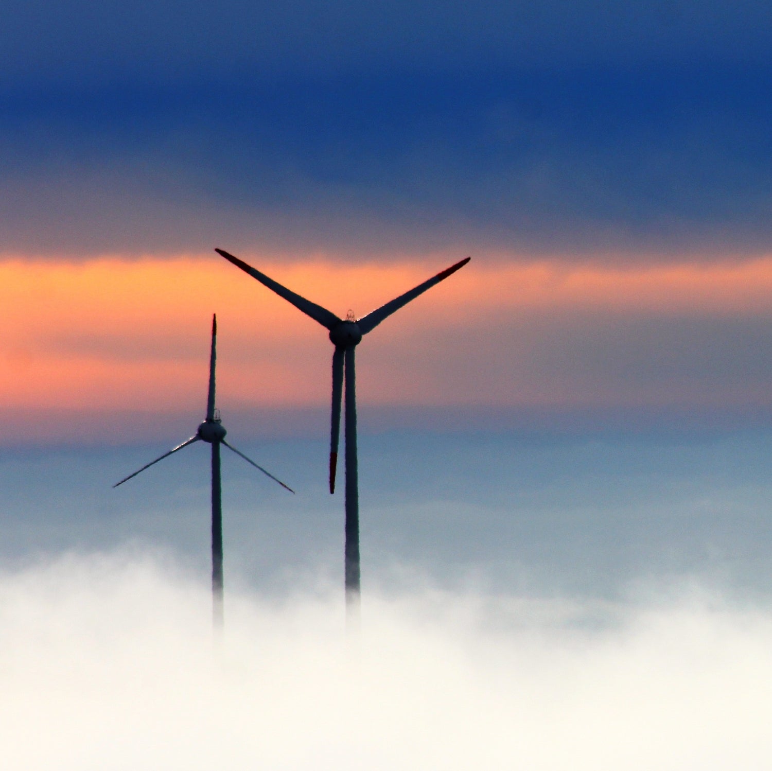 Australia's Global Climate Summit