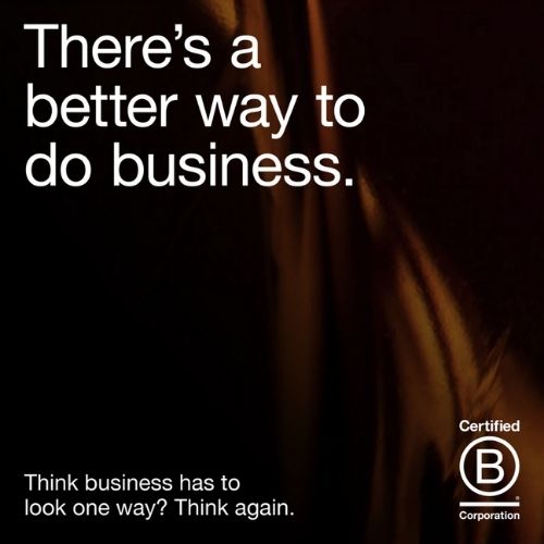 B Corp Business: Doing it Better