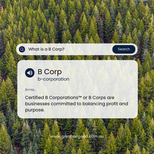What is a B Corp