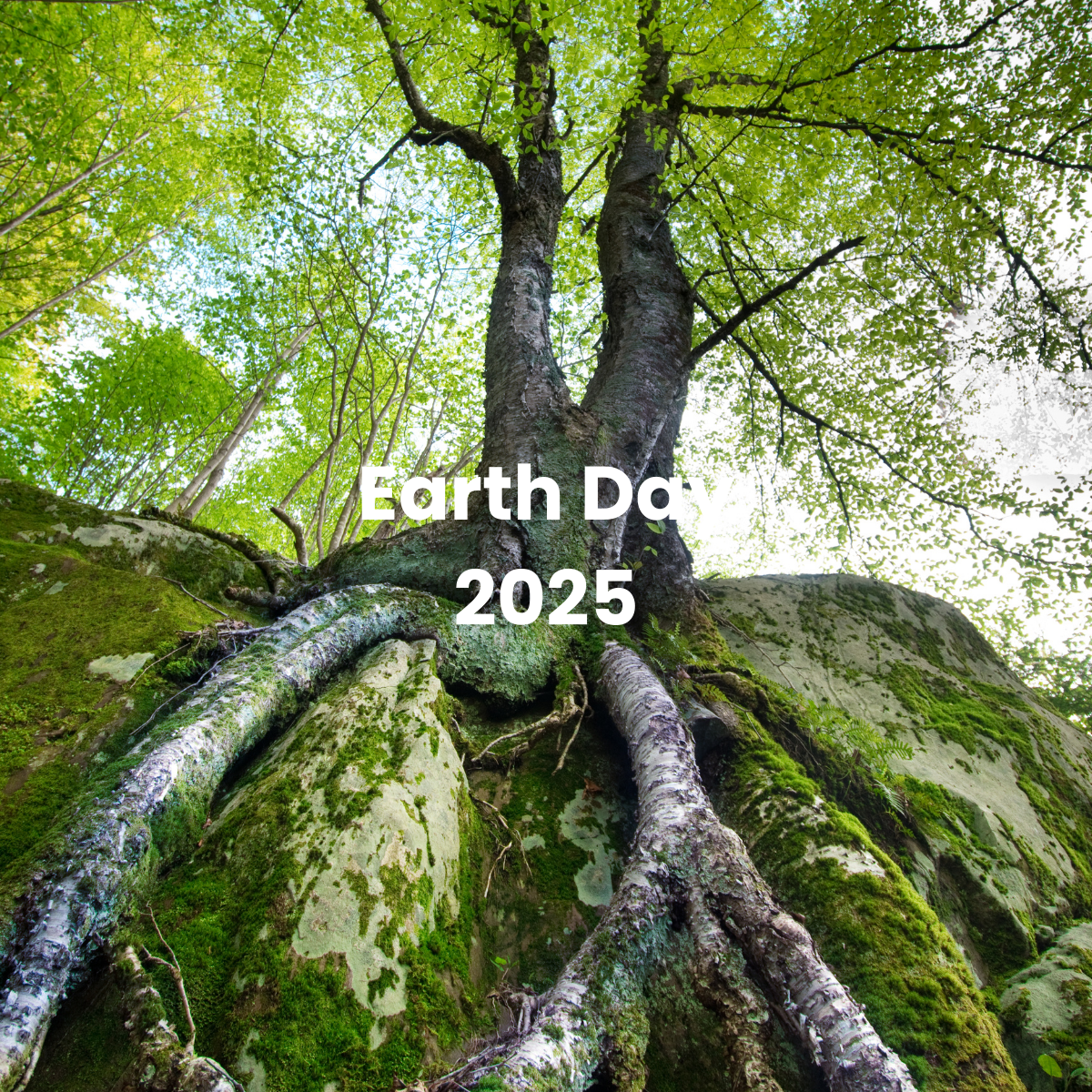 Earth Day 2025