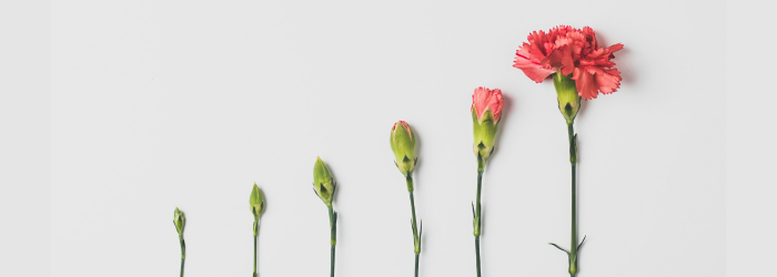 Impact Investing Education Series