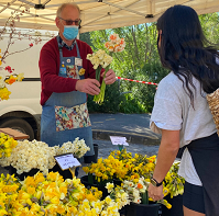 Market Stallholders Needed!