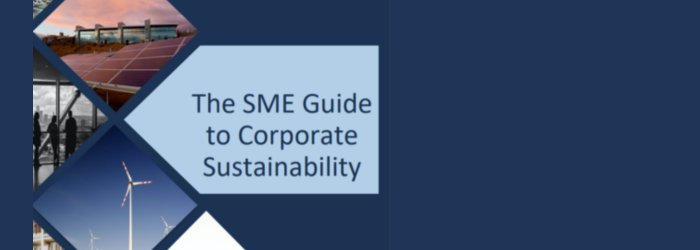 The SME Guide to Corporate Sustainability