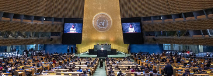 Insights & Solutions: 80th United Nations General Assembly