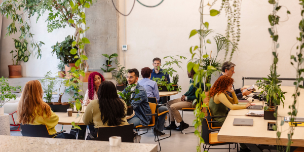 New Insights into Work Integration Social Enterprises