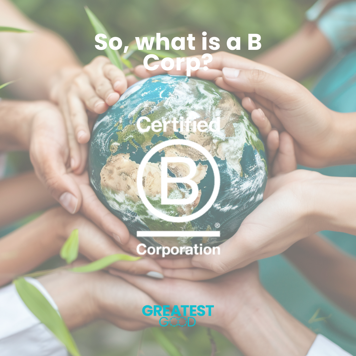 What is a B Corp