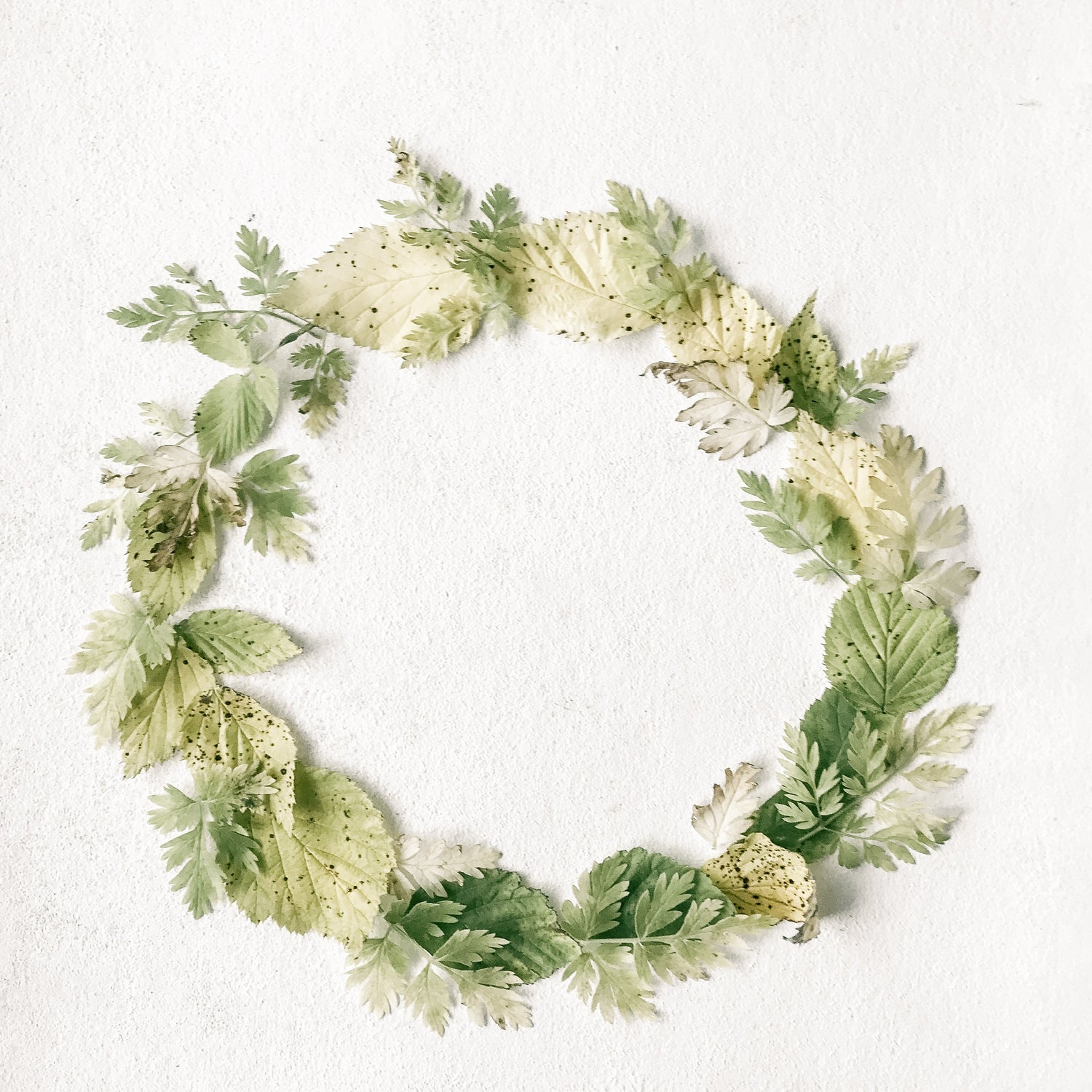 Greatest Good Conscious Gift Guide