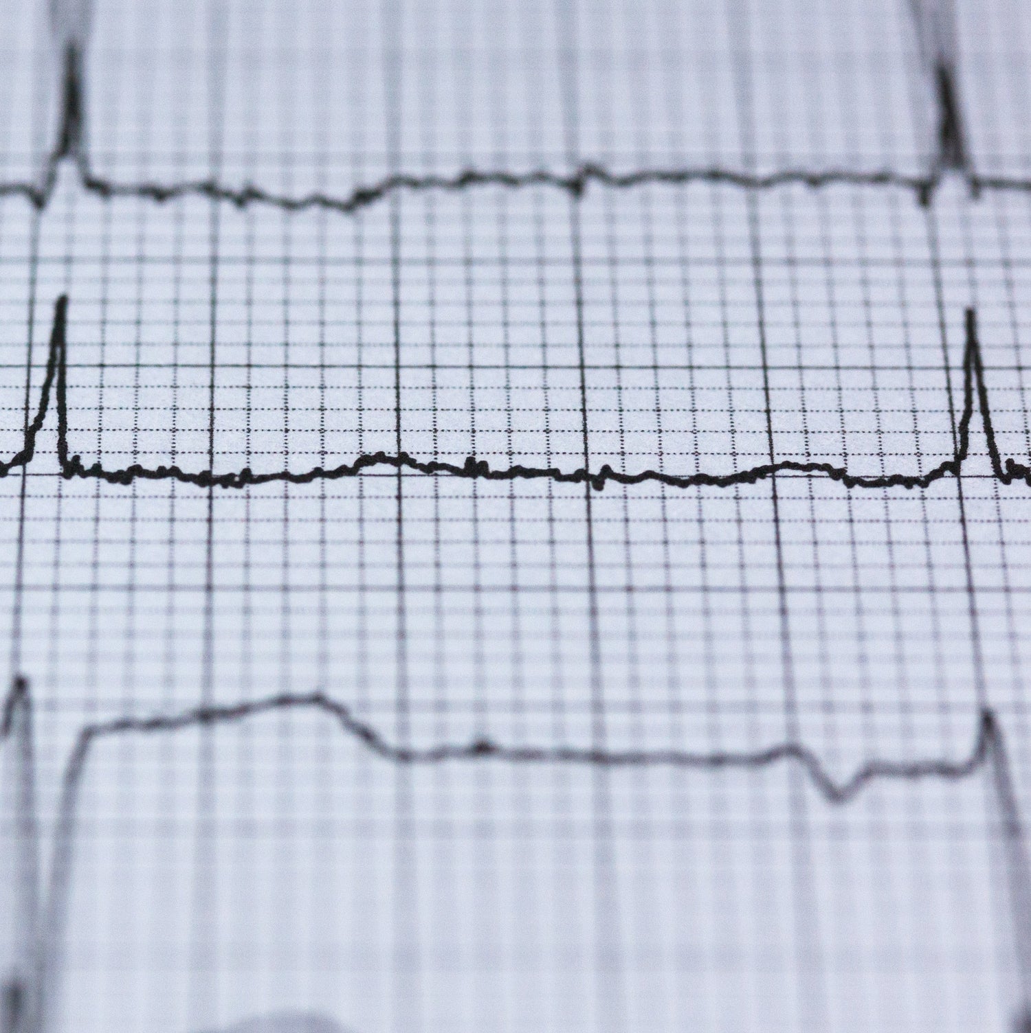 Greater Melbourne Vital Signs 2022: Special Online Briefing