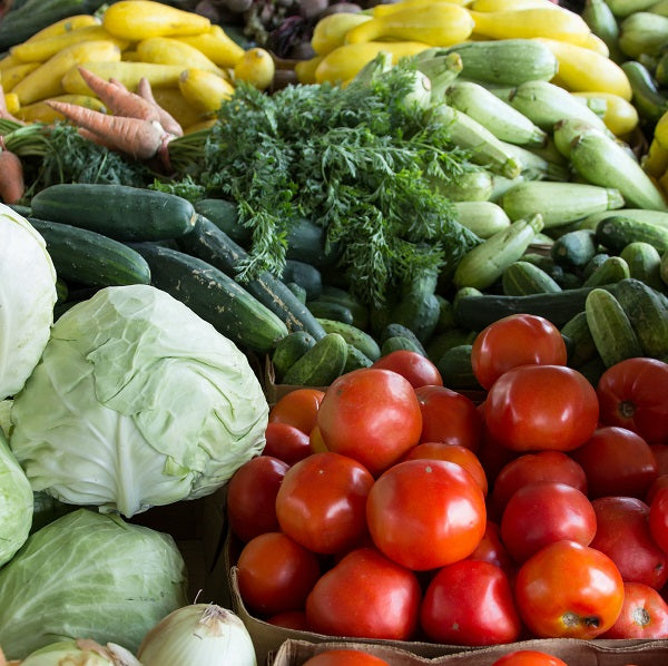 Food Tour at the Alphington Community Food Hub