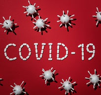 CALD COVID-19 Small Grants Fund