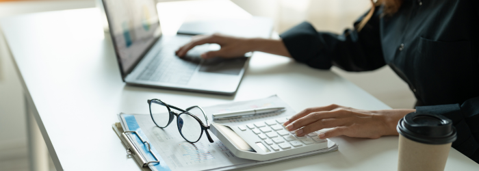 Self-Employment Assistance Program