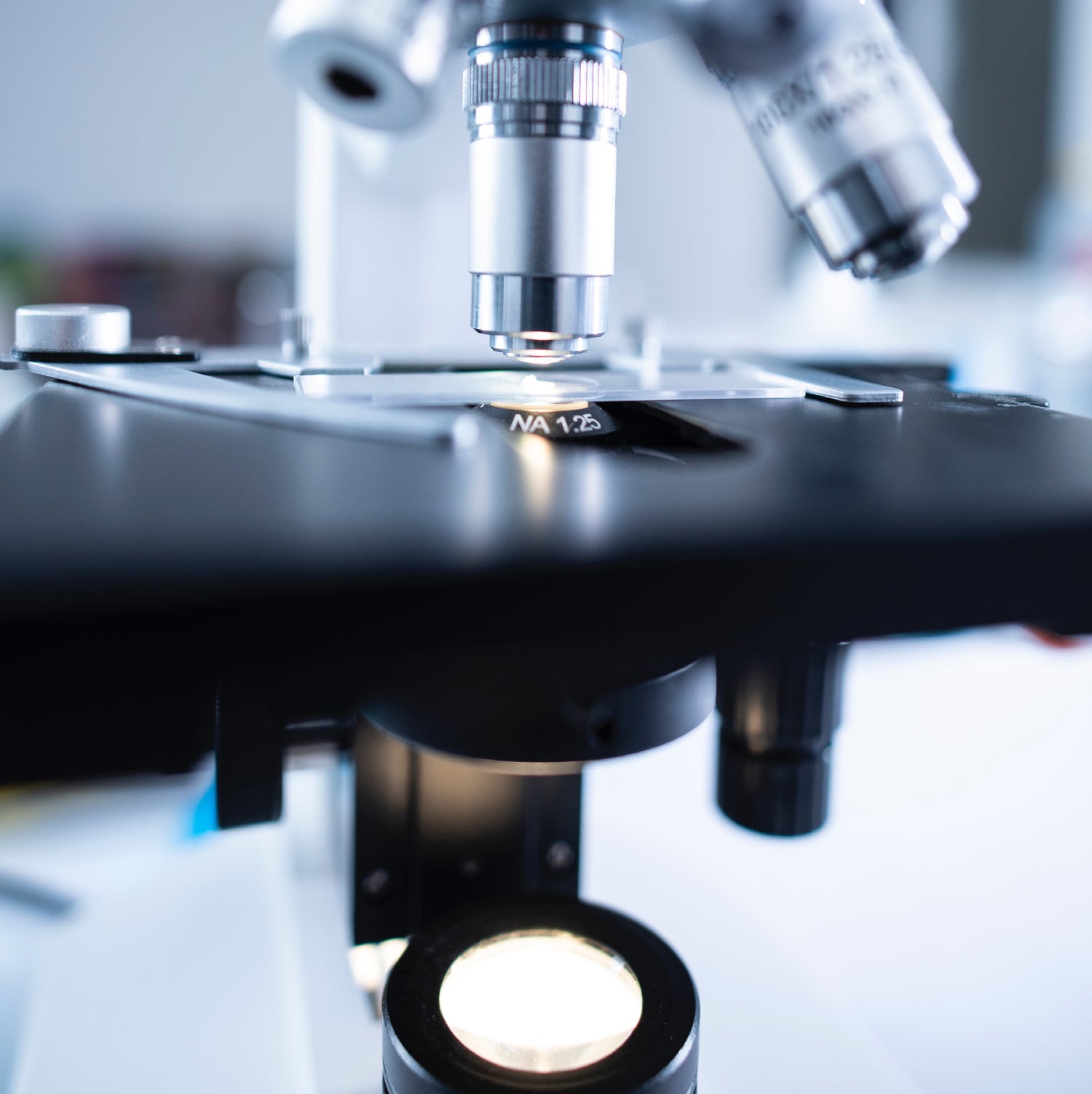 Ian Potter Foundation Medical Research Grants