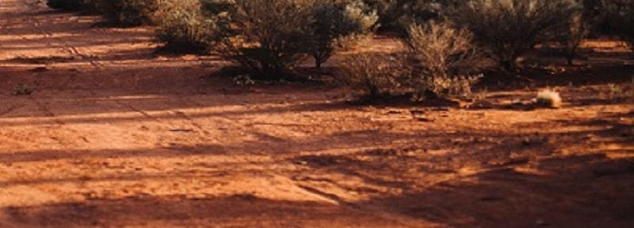 Indigenous Languages and Arts - Open Competitive Grant Opportunity 2023