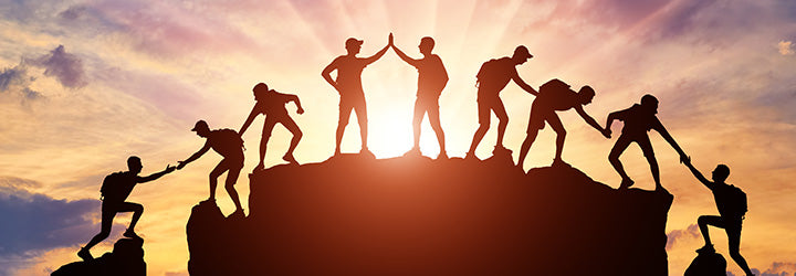 Indigenous Workforce and Skills