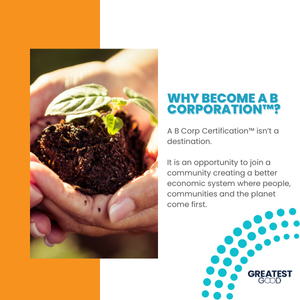 Why become a B Corp