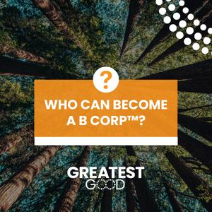 Who can become a B Corp