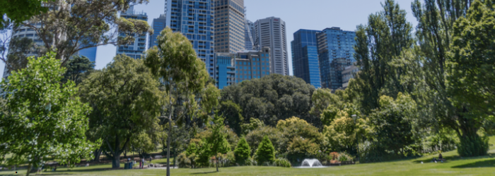 LMCF 2024 Innovation Grants 