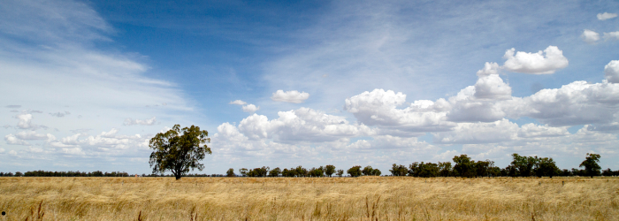 Co-create a rural social enterprise network