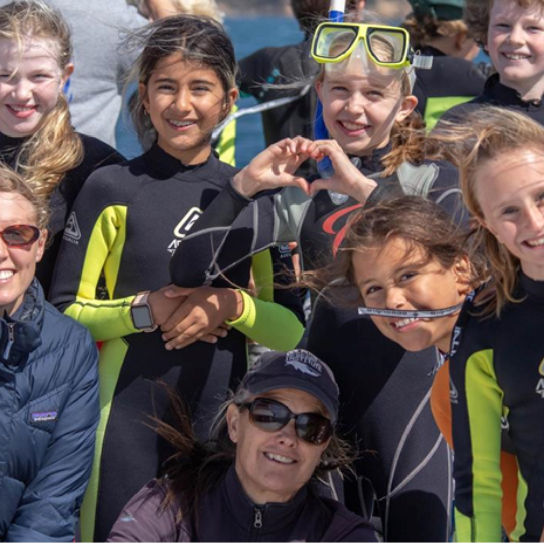 Dolphin Research Award Finalists