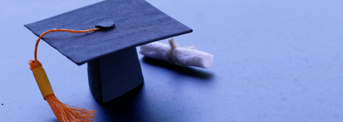 Community and Social Services Graduate Program
