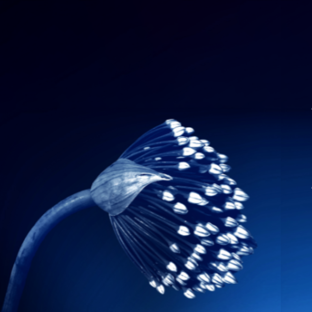 Perpetual’s 2024 philanthropy insights report