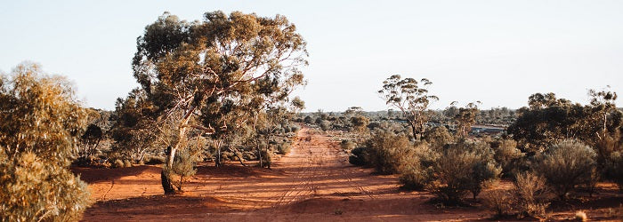 Strengthening Rural Communities Prepare & Recover Grant