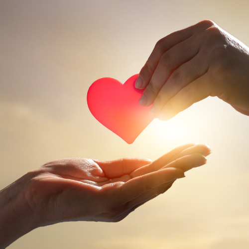 Philanthropy Australia addresses proposed reforms