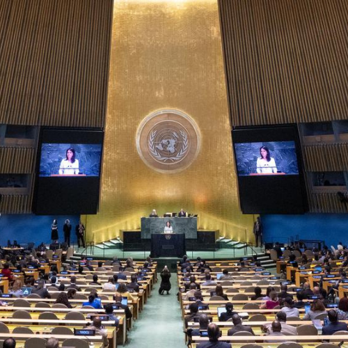 Insights & Solutions: 80th United Nations General Assembly