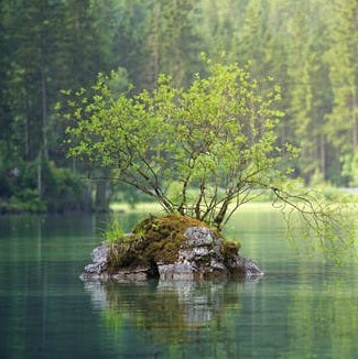 Excellent article from Minter Ellison on Greenwashing