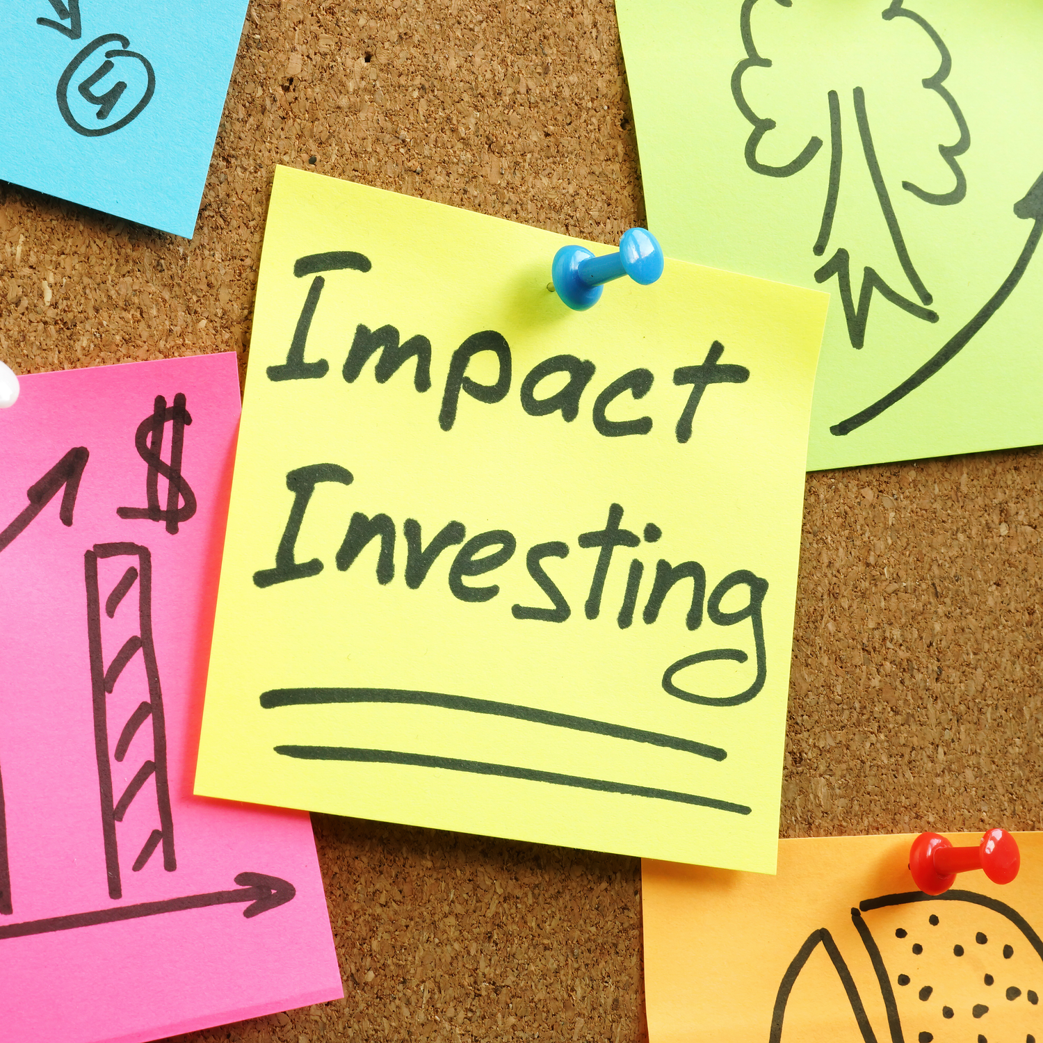 Impact investing: What investors need to know in 2026
