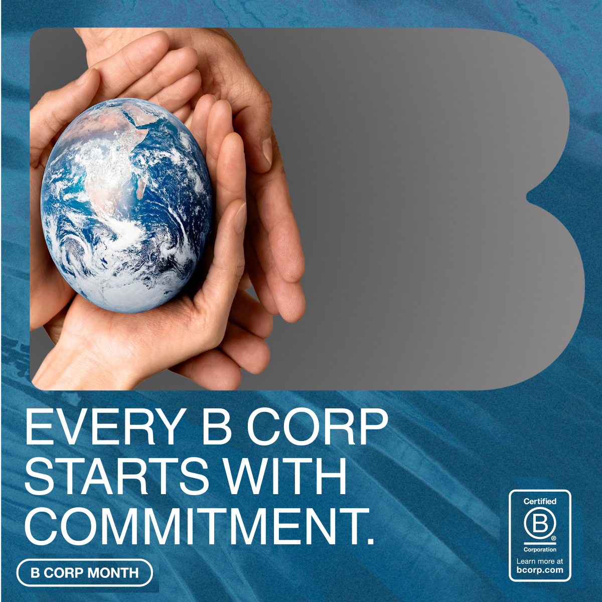 What is a B Corp?