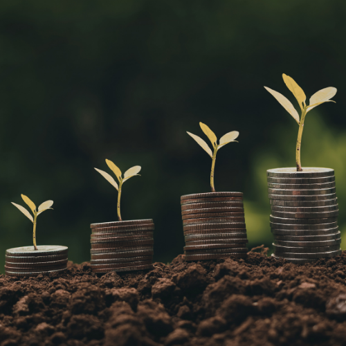 Wyatt Trust Releases “Perspectives on Investing” Report