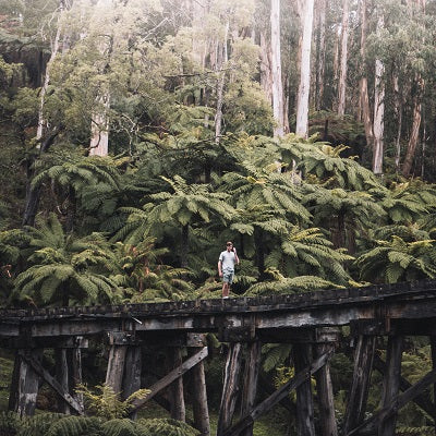 ASIC/AASB help with sustainability reporting