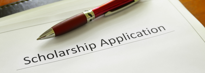 Social Impact Hub Fellowship Scholarships