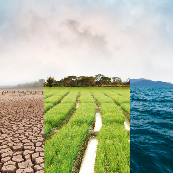 UN Global Compact Network Australia joins the Maximum Ambition Coalition (MAX)