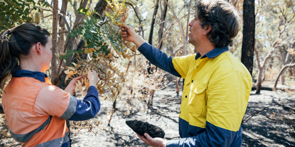 Environmental Education 2026 - Tier 1
