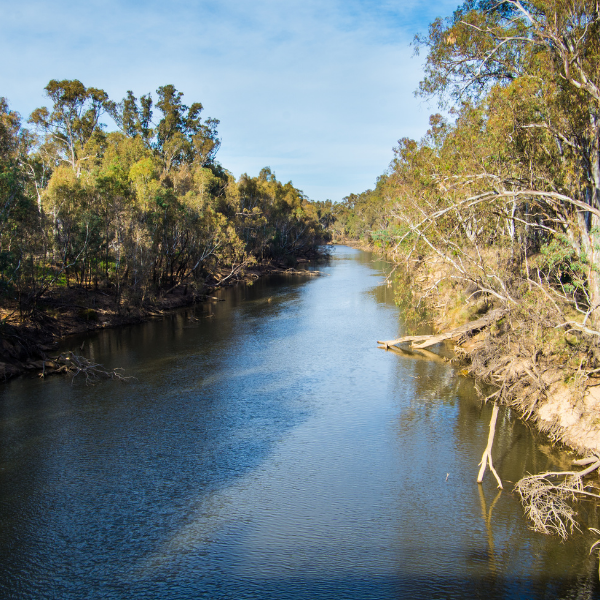 Report: Skills, Aspirations and Contributions of Migrant Women in Shepparton